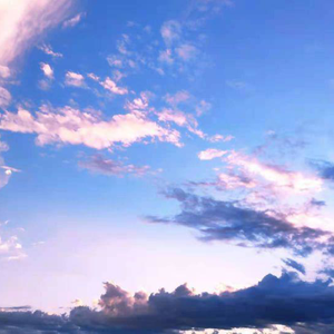 大学篮球体育撸鸡把chinese
